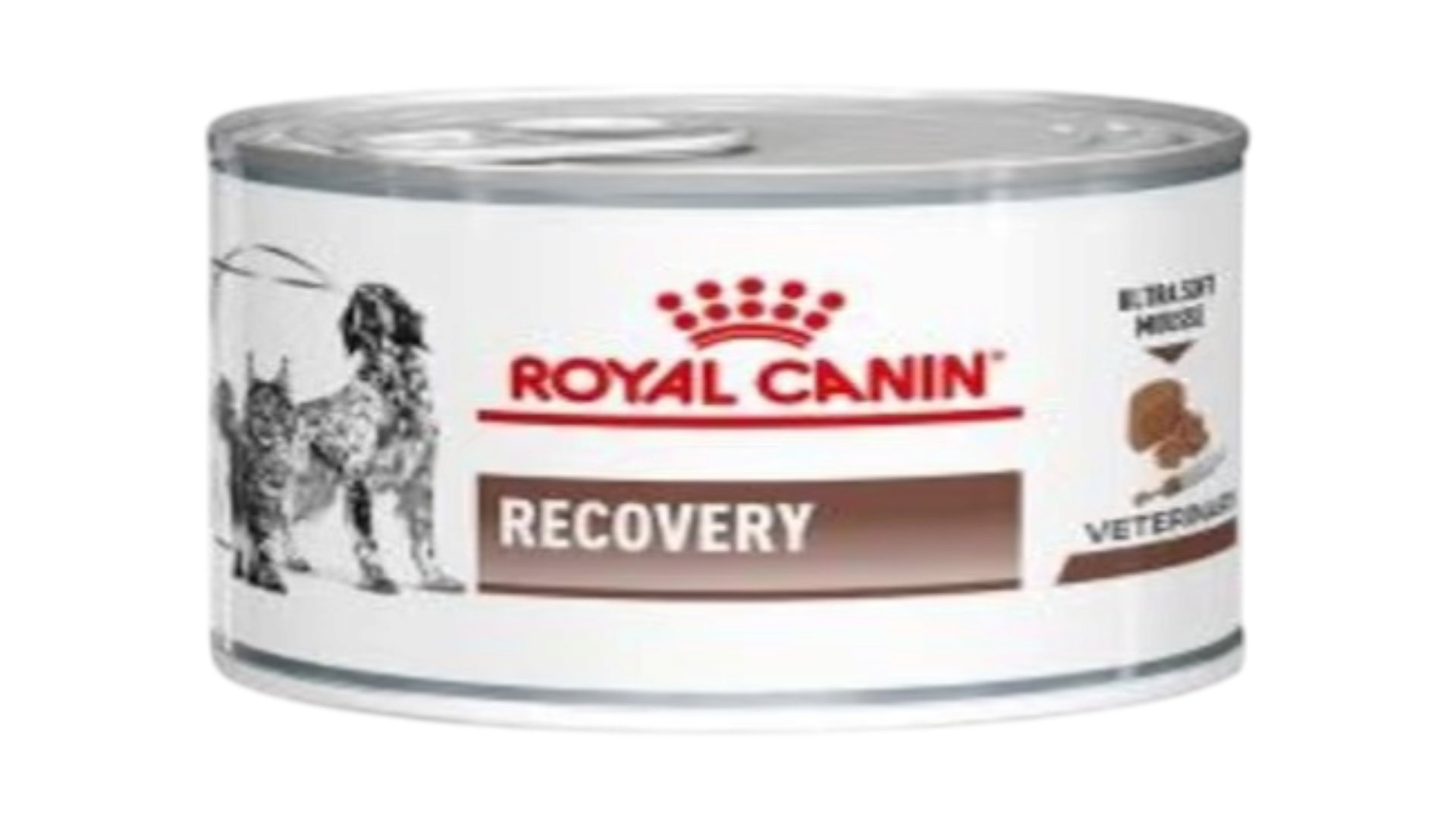 Royal Canin Recovery İt Və Pişik Üçün Bərpa Dövründə Baytarlıq Pəhrizi 195 qr